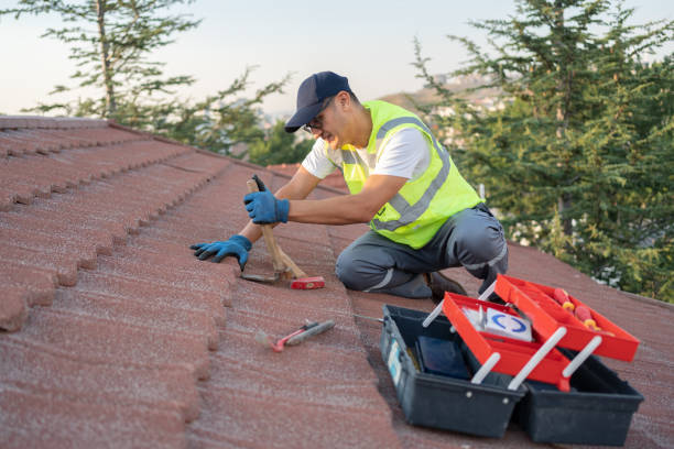 Best Metal Roofing Contractor  in West Pasco, WA